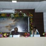 Kalinga Kusum Foundation Observes International Day for the Conservation of the Mangrove Ecosystem
