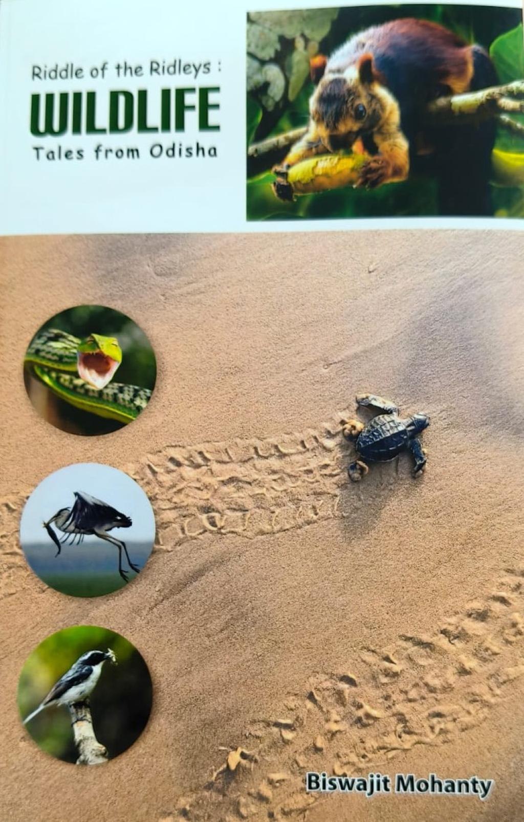 RIDDLE OF THE RIDLEYS :  Wildlife  tales from Odisha by Dr. Biswajit Mohanty