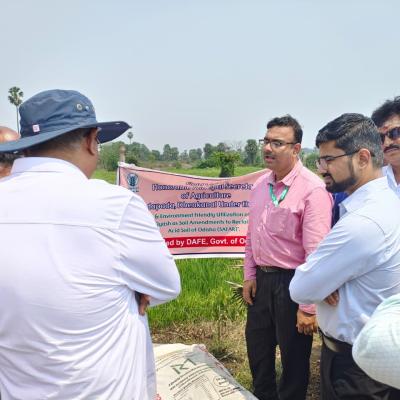 EcoLime+Demonstration Reviewed in Dhenkanal:  Farmers Highlight Improved Soil Health