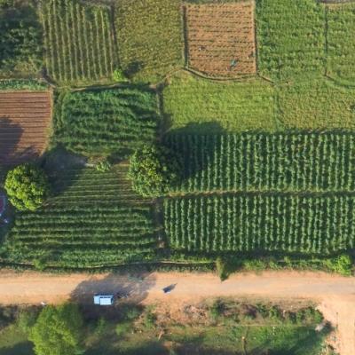 Project Sangam Strengthens Irrigation and Livelihoods in Rural Kalahandi