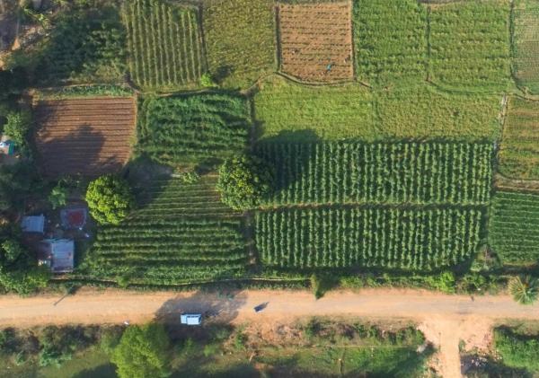 Project Sangam Strengthens Irrigation and Livelihoods in Rural Kalahandi